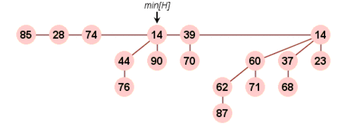 Fibbonachi kucha.GIF