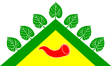 Флаг