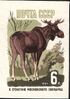 The Soviet Union 1964 CPA 3044 stamp (Centenary of Moscow Zoo. Elk or moose (Alces alces)).jpg