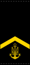 UANs shoulder mark 02.svg