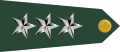 US Army O9 shoulderboard rotated.svg