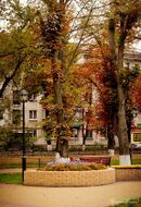 Парк ім Т.Г.Шеченка (Розвилка).jpg