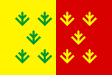 Флаг