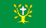 Флаг