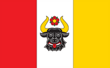 Флаг