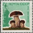 The Soviet Union 1964 CPA 3125 stamp (Mushrooms. Cep or penny bun (Boletus edulis)).jpg