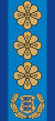 Estonia-Police-Politseikindral.svg
