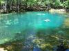 Manatee Springs State Park Florida springs05.jpg