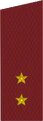 погоны 1973