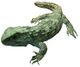 Sphenodon punctatus white background.jpg