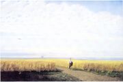 Steppes. Field (Kuindshi).jpg