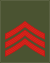 03-Montenegro Army-JSG.svg