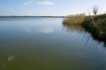 Arlington Reservoir 2.jpg