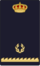 Cnpdivisme3.png