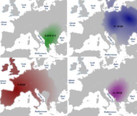 Распространение гаплогруппы I2-M438, а также гаплогрупп E-M78 (V13), R1a-M198, R1b-M269 в Европе