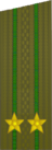 погоны 1969