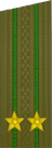 погоны 1969