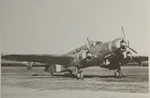 Savoia-Marchetti SM.84.jpg