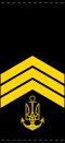 UANs shoulder mark 04.svg