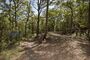 Whites Hill Reserve (6980278384).jpg