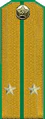 погоны 1946