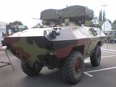 BOV-1 1.JPG
