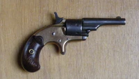Colt Open Top .22.JPG