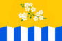 Flag of Leninsk (2017-07).png
