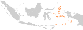 Keuskupan Amboina Locator.png