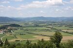Ljubljana marsh - W.jpg