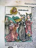 Nuremberg chronicles - Tiburnine Sibyll (XCIIIv).jpg