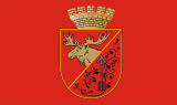 Флаг