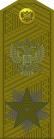 Russia-Army-OF-10-1994-camo.svg
