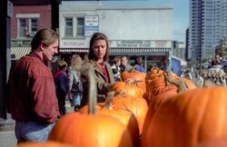 Shopping for pumpkins in Ottawa.jpg