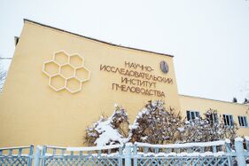 Mezjäižvodindan tedoinstitut