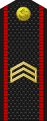 Сержант береговых войск.svg