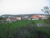 Паниса