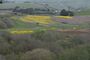 Hearst san simeon state park.jpg