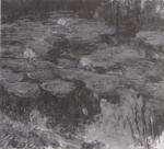 Monet - Wildenstein 1996, 1806.png