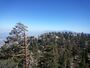 Mount San Jacinto.jpg