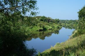 Rator lej Ordanjbye.jpg