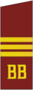 погон 1973