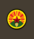 нарукавный знак 1922