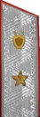 погоны 1943