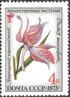 1973 CPA 4273 mint.jpg