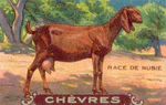 Chevres 12.jpg