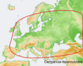 Distribution map Campanula rapunculoides.png