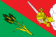 Flag of Vologodsky rayon (Vologda oblast).png