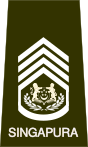 SGEWO-CWO.svg