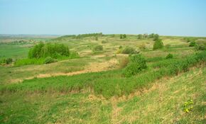 Флора и фауна2.jpg